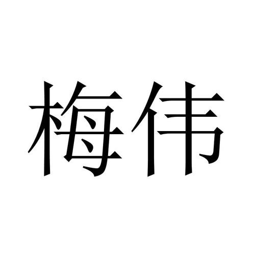 上海梅伟网络科技